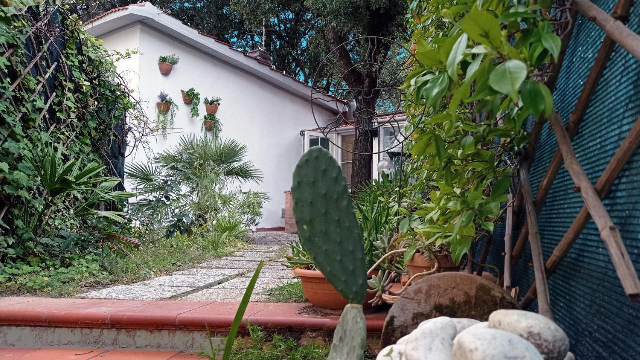 Villetta La Gabbianella Livorno Zewnętrze zdjęcie