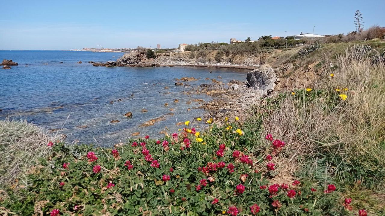 Villetta La Gabbianella Livorno Zewnętrze zdjęcie